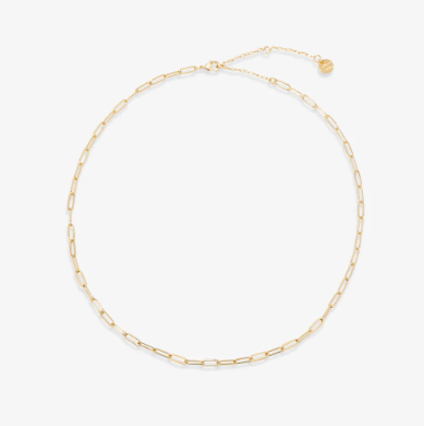 Pura Vida Harper Paperclip Chain Necklace